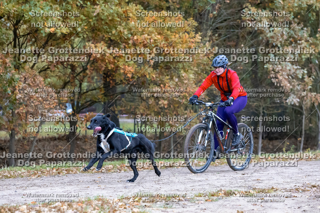 Dog Paparazzi - SD CaniX Championship 2025-233 | Dog Paparazzi Jeanette Grottendiek Fotografie & Videografie - Realisiert mit Pictrs.com