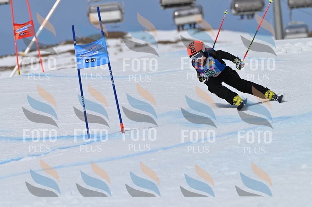 BGV_7236 | holidayphoto