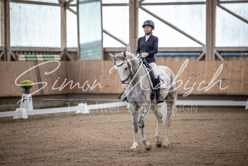 20251011-_3LI9156 | Tierfotografie Pferde, Hunde, Katzen, Haustiere.
Turnierfotografie Reitturniere, Reiten, Springreiten, Dressur in Hanau, dem Main-Kinzig-Kreis und dem Rhein-Main- Gebiet um Frankfurt