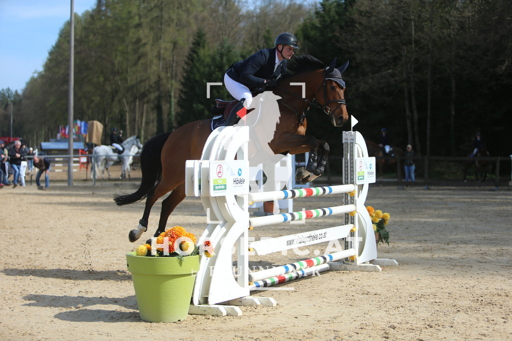 DL2Q0777 | Willkommen bei Brunnmayr - Design & Fotografie – Ihrem Spezialisten für Reitturniere und Pferdeveranstaltungen in Oberösterreich, Salzburg und Bayern! Seit über 17 Jahren sind wir leidenschaftlich dabei.