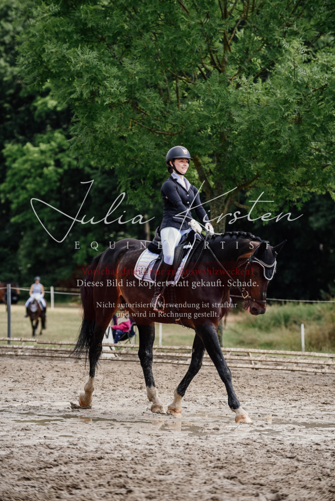 DSC_0580 | Pferde- und Turnierfotografie in Westsachsen. Pferdeportraits, Auftragszeichnungen und intuitive Kunst.