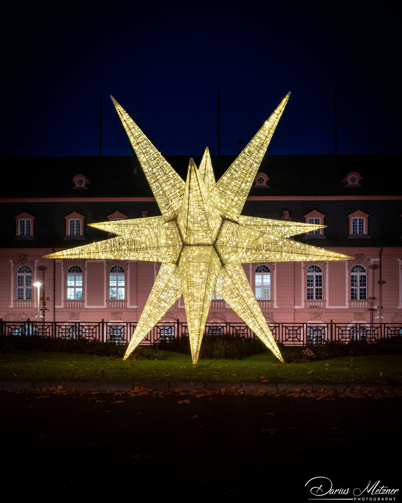 DSC_6788 2 | Fotografien, Fotos und Bilder aus Mainz, Frankfurt, Wiesbaden und anderen Orten auf der Welt - Fotografiert von Darius Metzner