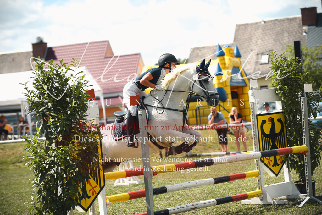 DSC_6738 | Pferde- und Turnierfotografie in Westsachsen. Pferdeportraits, Auftragszeichnungen und intuitive Kunst.