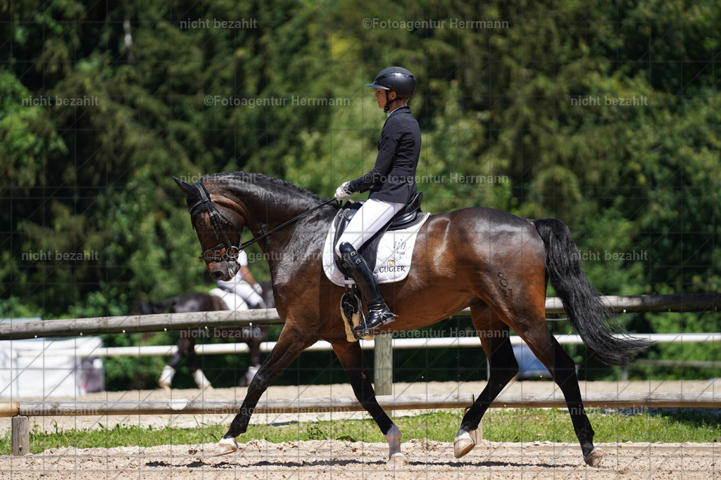 20240705-FAH03742 | Turnierbilder von Grafing, Reitsportbilder, Turnierfotos, Turnierfotografen Bayern, Pferdefotograf, Fotoagentur Herrmann