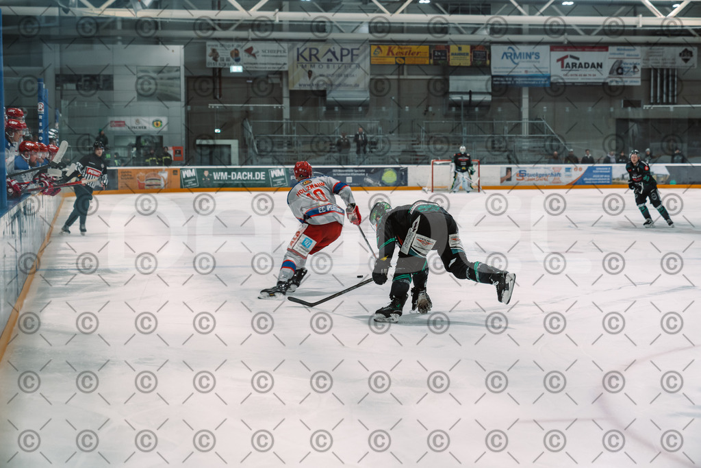 Alligators_vs_Peiting_25_11_2025-31 | Höchstadt Alligators Fotogalerie: Eishockey-Action aus Franken. Professionelle Spielfotos, Portraits & Stadionbilder zum Download. Jetzt entdecken! - Realisiert mit Pictrs.com