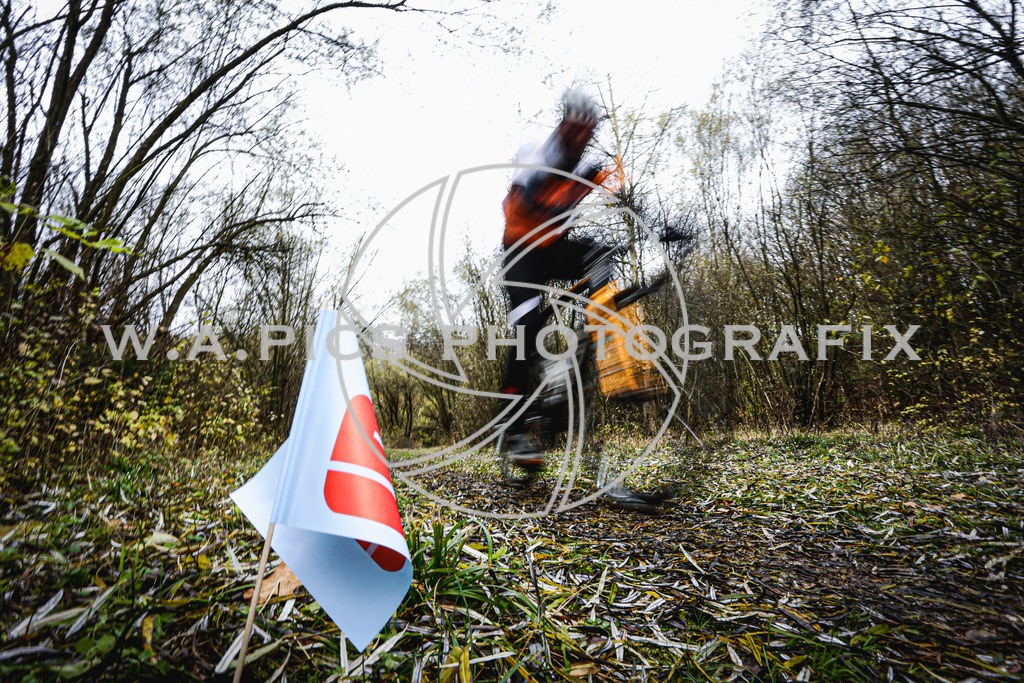 ..... | AUSTRIA, 24.11.24, 3.Radquerfeldein GP um das Sportzentrum Gunskirchen Image shows: Photo: Wapics / Andreas Willdoner