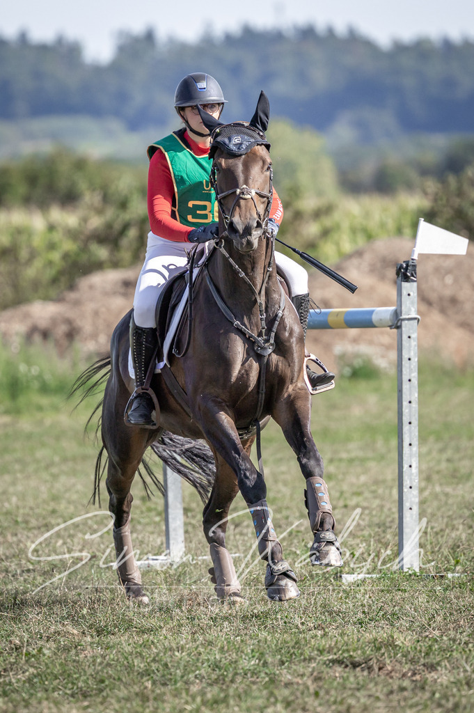 20250907-_3LI3082 | Tierfotografie Pferde, Hunde, Katzen, Haustiere.
Turnierfotografie Reitturniere, Reiten, Springreiten, Dressur in Hanau, dem Main-Kinzig-Kreis und dem Rhein-Main- Gebiet um Frankfurt