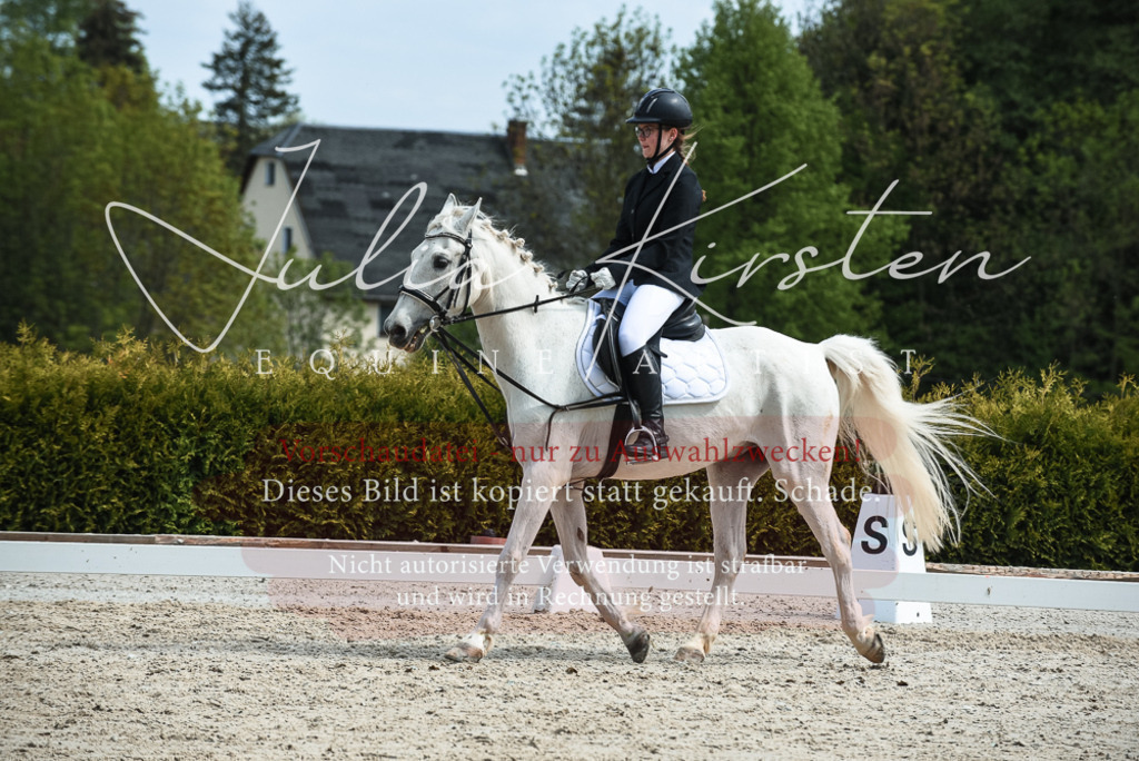 20230518_JK-Röhrsdorf-11-0876 | Pferde- und Turnierfotografie in Westsachsen. Pferdeportraits, Auftragszeichnungen und intuitive Kunst.