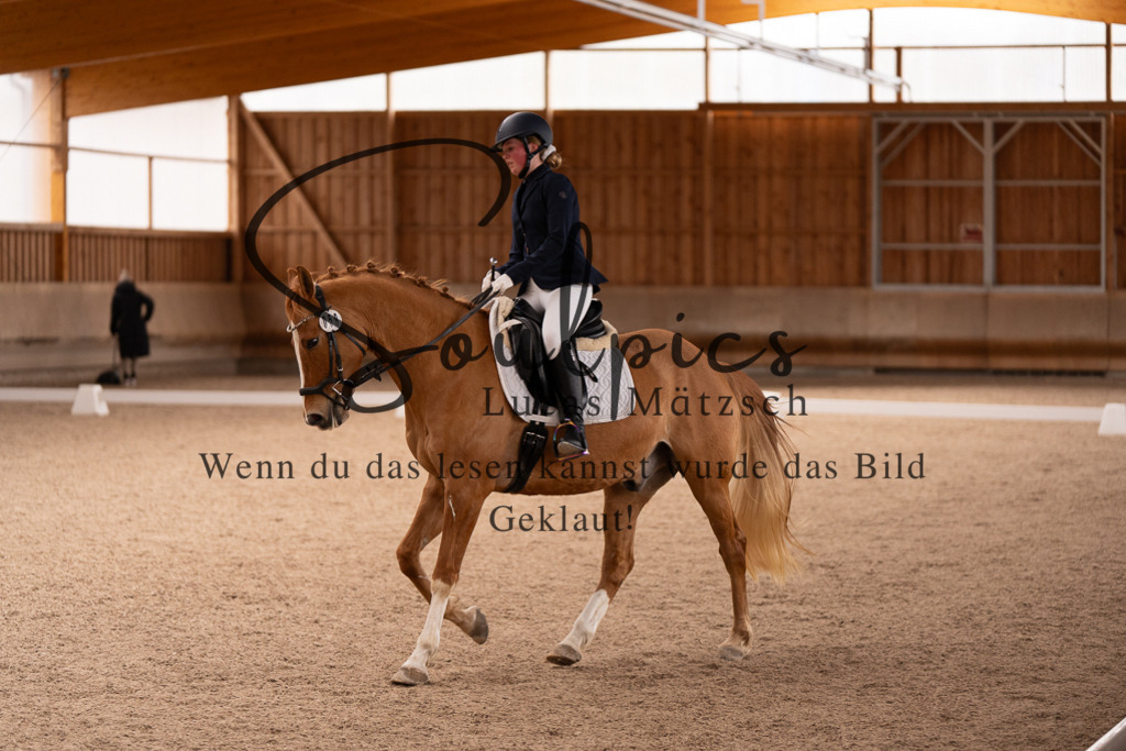 A7506911 | Turnier/Reitfotograf