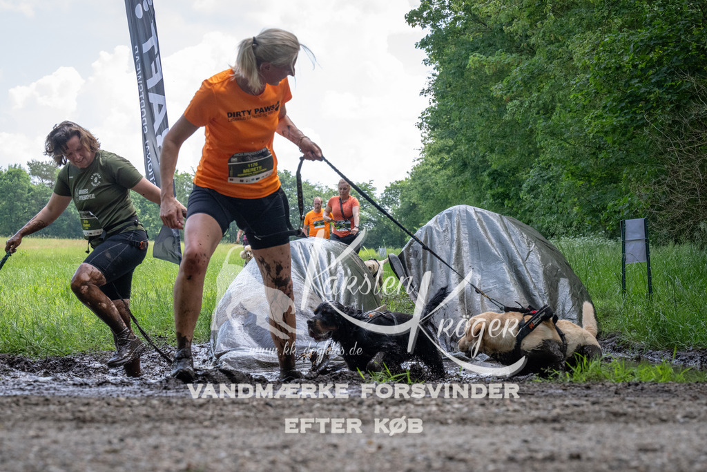 1143_ZZ94073 | kk-dogfotos