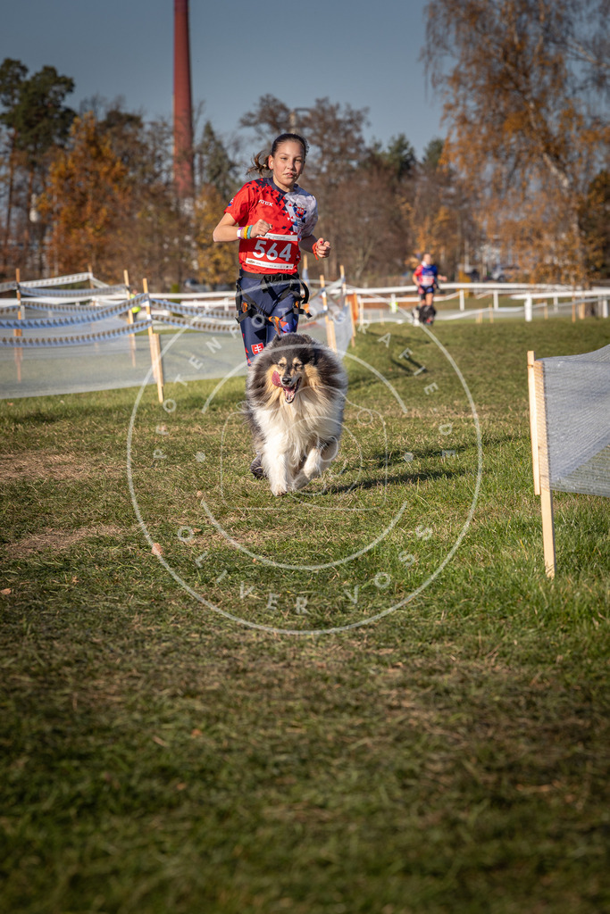 CaniXpix_0L8A7898 | Hundefotografie, Tierfotograf, Pfotenfotografie, Fotoshooting Hund, Hunde Portrait, Hundesport, Hundeportraits, Heideshooting, Hunde, Sportfotograf, Hundefotograf, Turnierhundsport, THS,  - Realisiert mit Pictrs.com