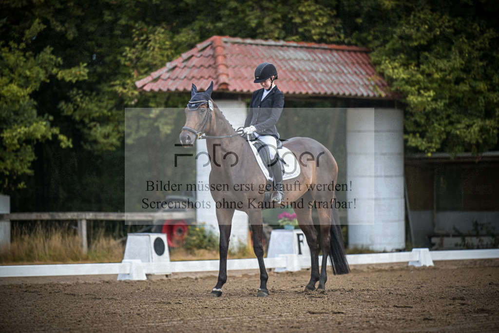 DOS_0158 | Entdecke hochwertige Reitturnierfotos von Foto Oger. Professionell, emotional und authentisch – jetzt Lieblingsmomente im Shop bestellen.Deutschlandweite Turnierfotografie. - Realisiert mit Pictrs.com