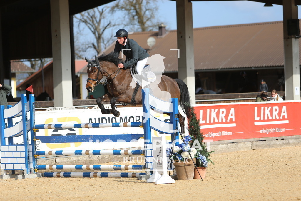 DL2Q8529 | Willkommen bei Brunnmayr - Design & Fotografie – Ihrem Spezialisten für Reitturniere und Pferdeveranstaltungen in Oberösterreich, Salzburg und Bayern! Seit über 17 Jahren sind wir leidenschaftlich dabei.