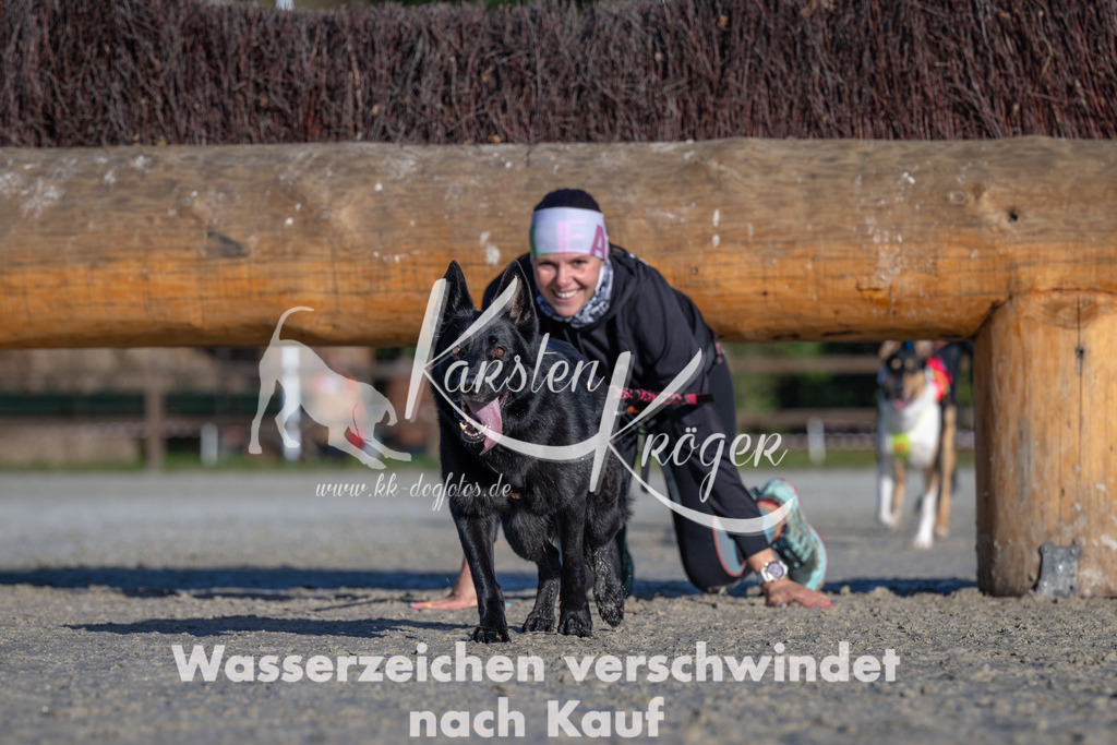 1046-_ZZ92558 | kk-dogfotos