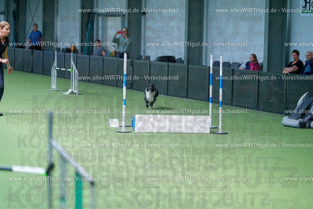 @allesWIRTHgut_Tierfotografie - www.allesWIRTHgut.de - 2604261237-7R501288 | Professionelle Tierfotografie in Mönchengladbach von Daniel Wirth (allesWIRTHgut). Liebevolle & natürliche Bilder von Hunden & Katzen für unvergessliche Erinnerungen.