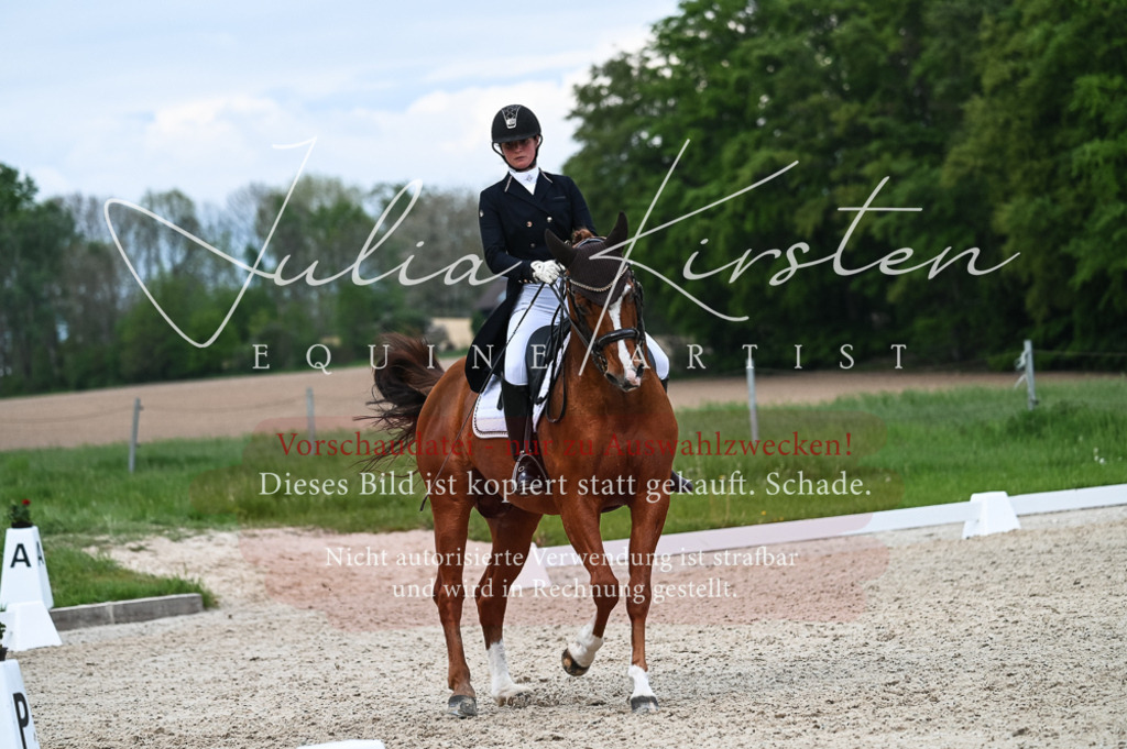 20230513_JK-Röhrsdorf-13-668 | Pferde- und Turnierfotografie in Westsachsen. Pferdeportraits, Auftragszeichnungen und intuitive Kunst.