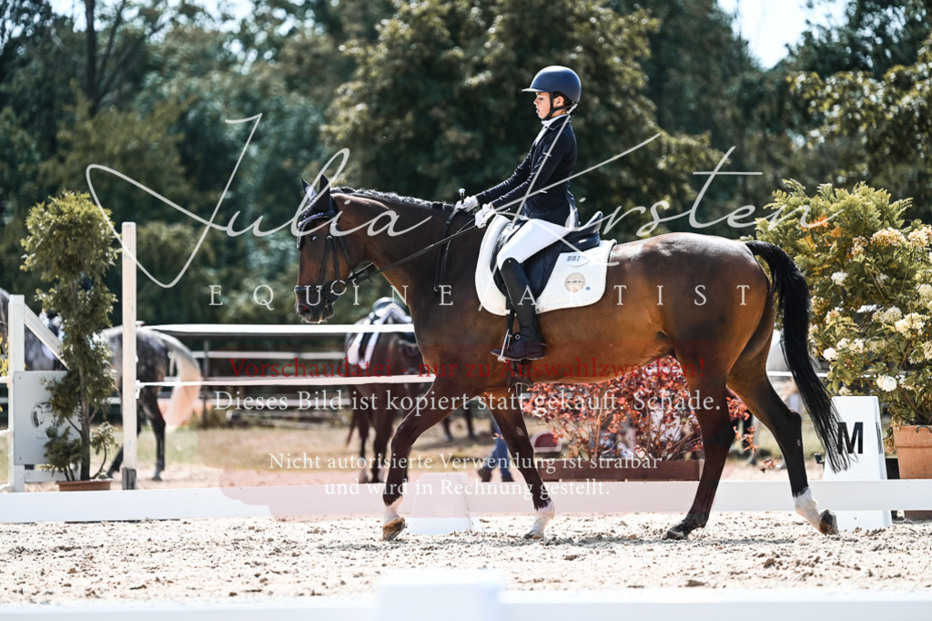 DSC_5756 | Pferde- und Turnierfotografie in Westsachsen. Pferdeportraits, Auftragszeichnungen und intuitive Kunst.
