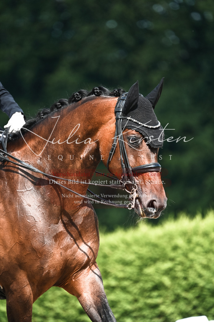 DSC_3119 | Pferde- und Turnierfotografie in Westsachsen. Pferdeportraits, Auftragszeichnungen und intuitive Kunst.