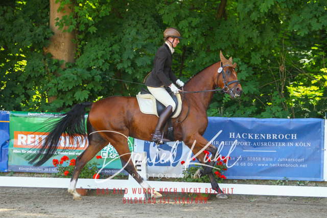 DKP42394 | Turniersportfotografie; Pferdefotografie; Dressurfotografie