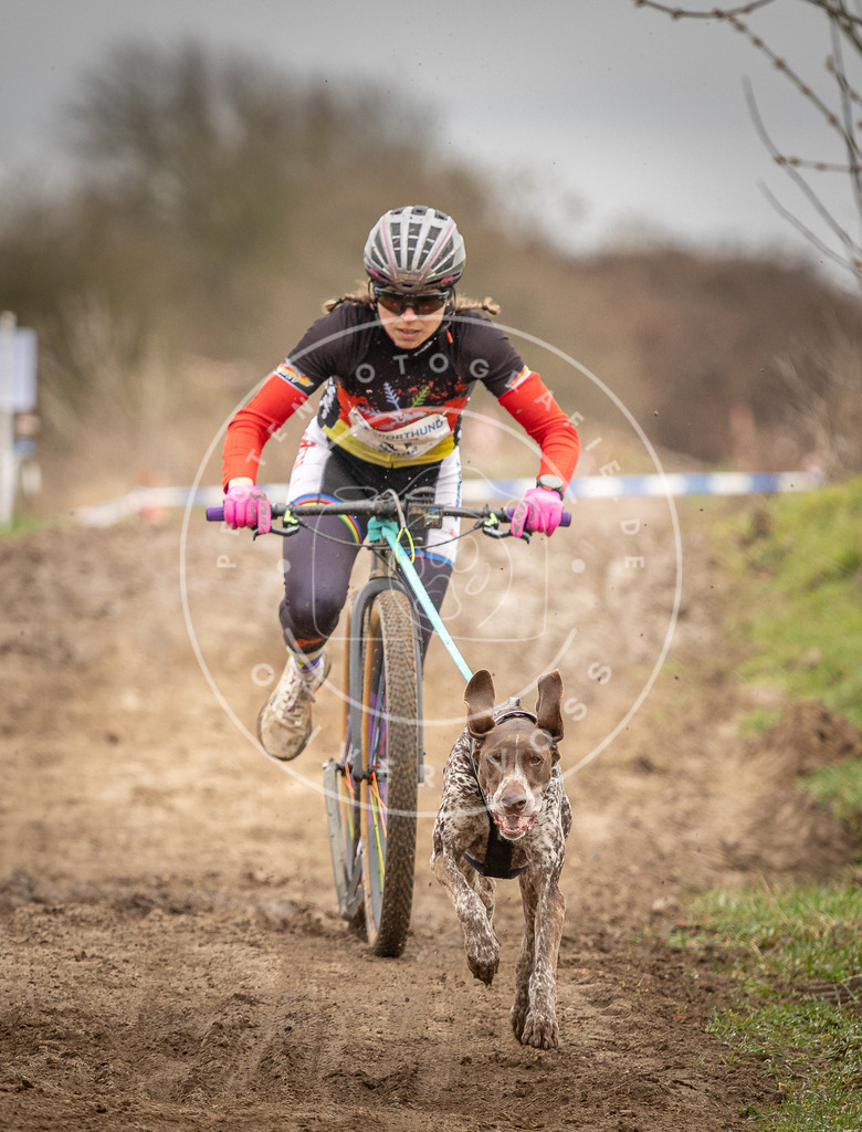 DV3A1248 | Hundefotografie, Tierfotograf, Pfotenfotografie, Fotoshooting Hund, Hunde Portrait, Hundesport, Hundeportraits, Heideshooting, Hunde, Sportfotograf, Hundefotograf, Turnierhundsport, THS,  - Realisiert mit Pictrs.com