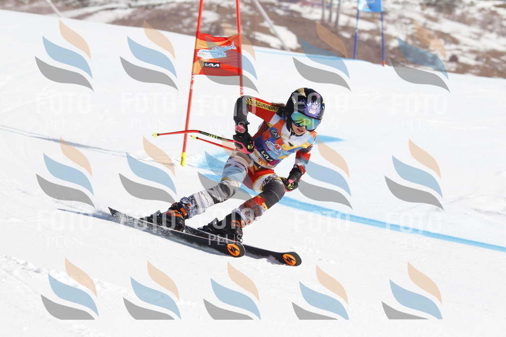 _U3G8526 | holidayphoto