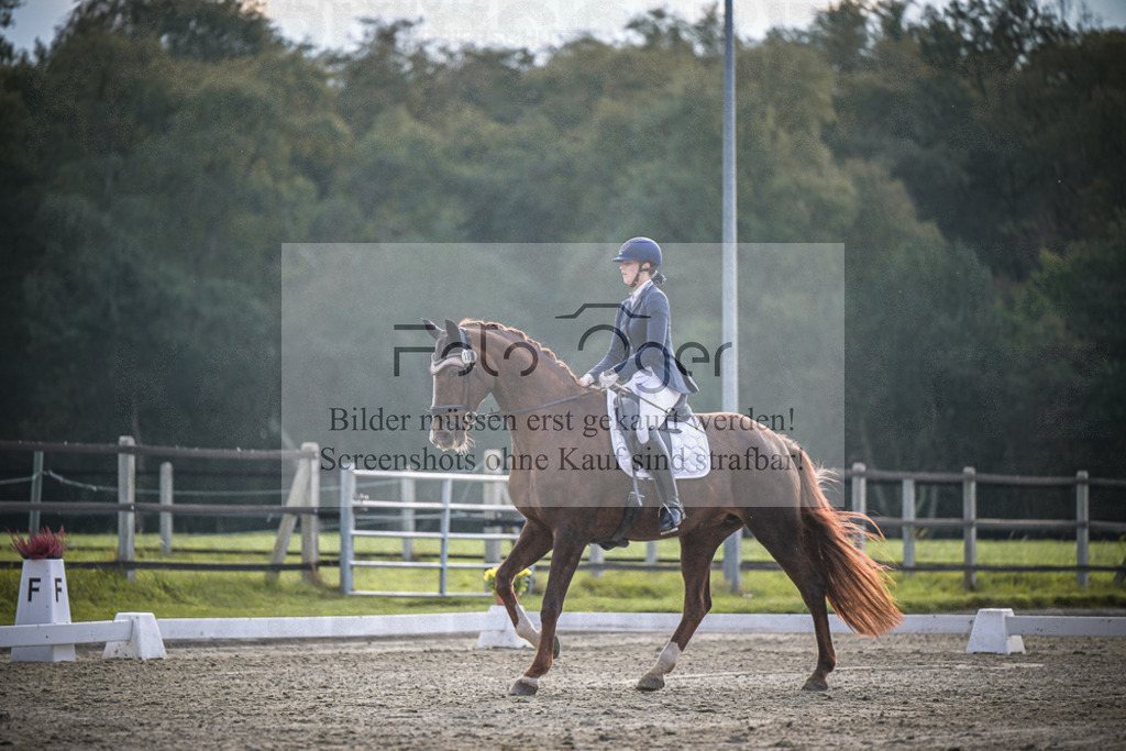 DOS_3074 | Entdecke hochwertige Reitturnierfotos von Foto Oger. Professionell, emotional und authentisch – jetzt Lieblingsmomente im Shop bestellen.Deutschlandweite Turnierfotografie. - Realisiert mit Pictrs.com