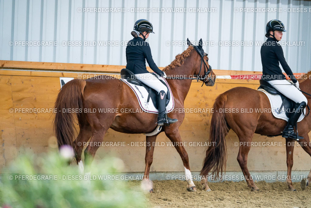 DSC05136 | Pferdegrafie