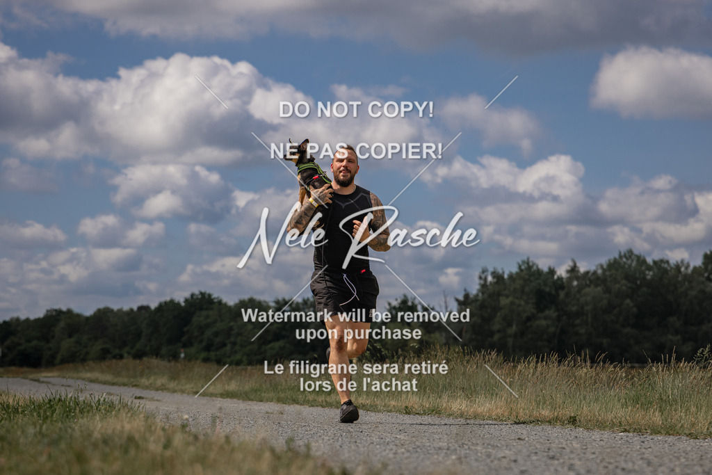 nelerasche_BuHu2026_SaCC1100-1200_25 | nelerasche