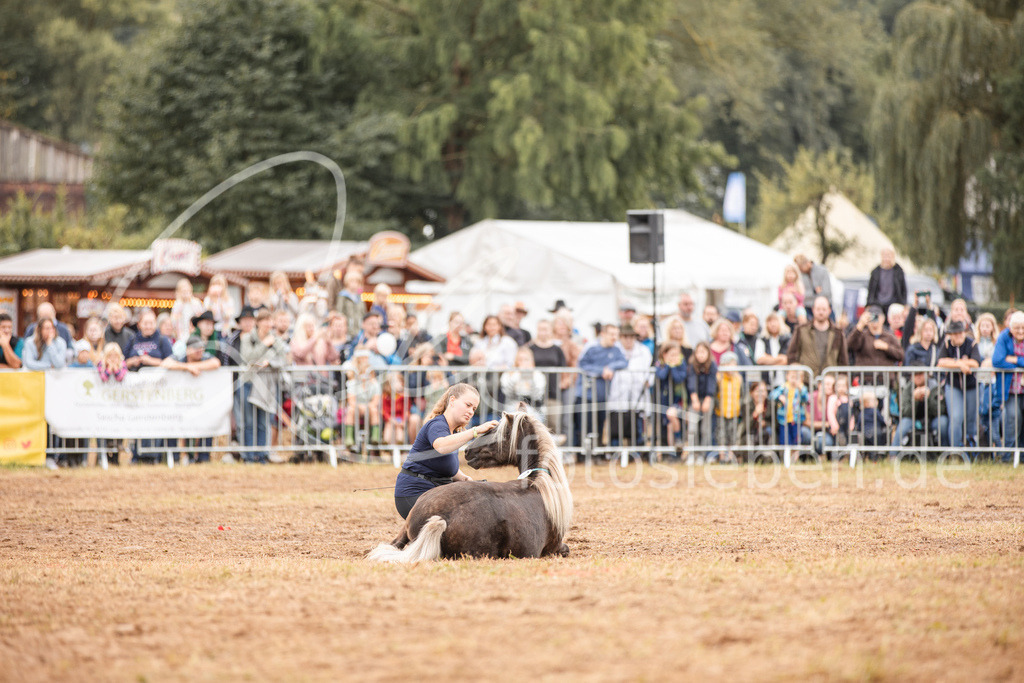 846A3710 | fotosleben - Realisiert mit Pictrs.com