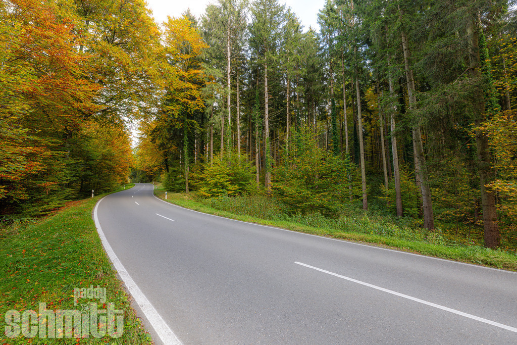 PS-Wege-2026-35 | Entdecke die größte Bildgalerie der Region mit Fotografien aus dem Allgäu, der Bodenseeregion, Oberschwaben, dem Donautal und der Schwäbischen Alb. Landschaften, Luftaufnahmen und Reisefotografie als Wandbild und Fotokunst. - Realisiert mit Pictrs.com