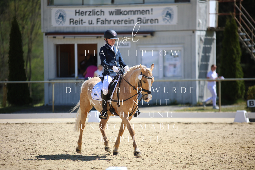 IMGT1142 | pl-fotografie