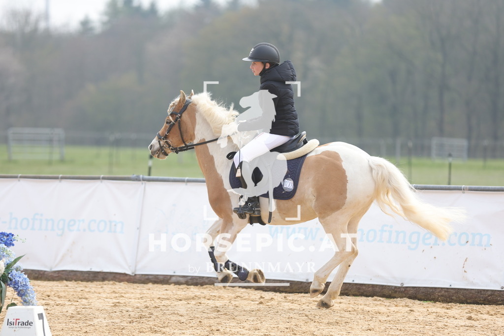 0P6A8937 | Willkommen bei Brunnmayr - Design & Fotografie – Ihrem Spezialisten für Reitturniere und Pferdeveranstaltungen in Oberösterreich, Salzburg und Bayern! Seit über 17 Jahren sind wir leidenschaftlich dabei.