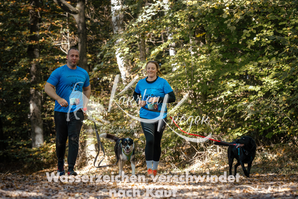 1216_ZZ94647 | kk-dogfotos