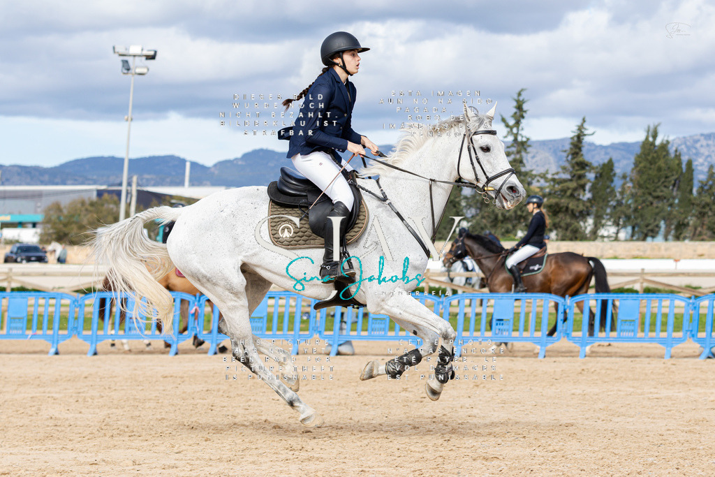 IMG_3584 | s-jay-photography - Realisiert mit Pictrs.com