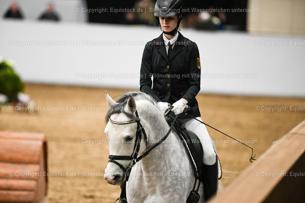 20260307_Hengstvorstellung-Marbach_0423 | equistock