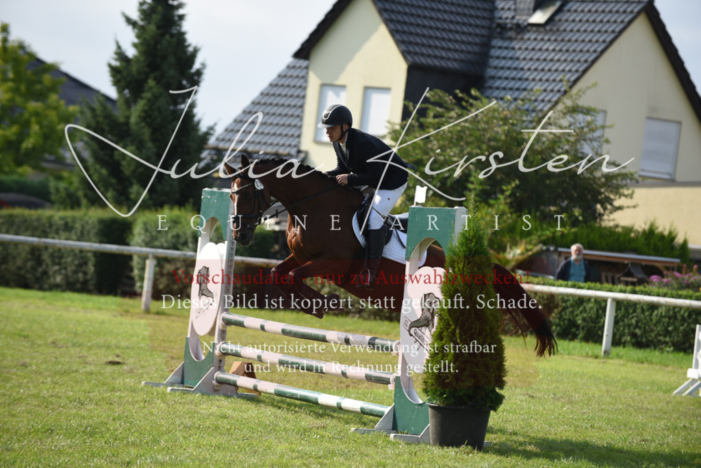 DSC_8715 | Pferde- und Turnierfotografie in Westsachsen. Pferdeportraits, Auftragszeichnungen und intuitive Kunst.