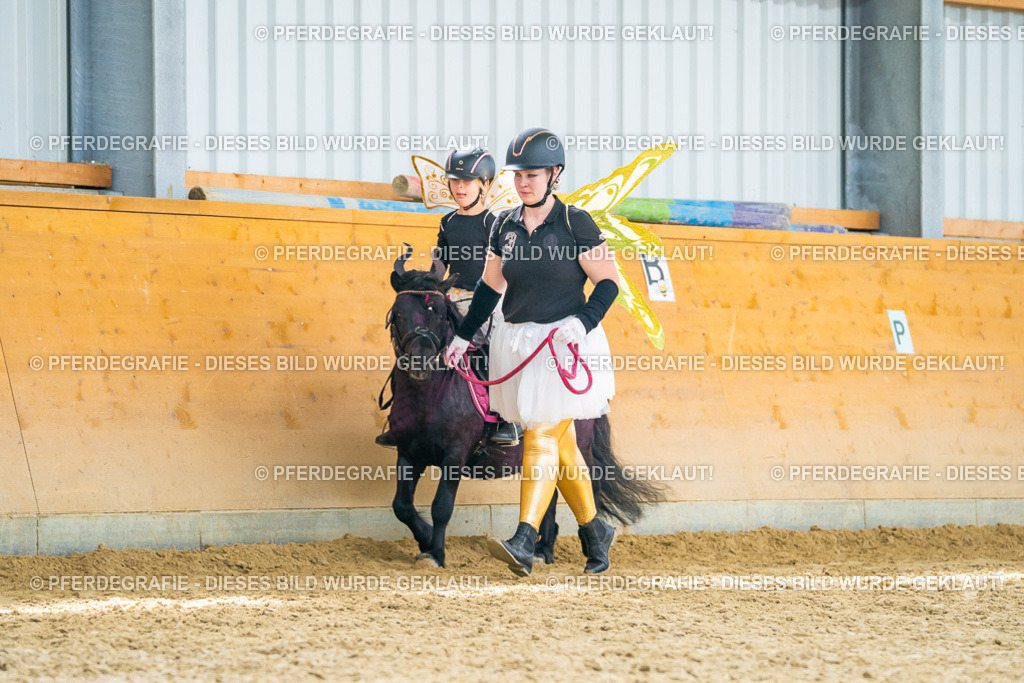 DSC09915 | Pferdegrafie