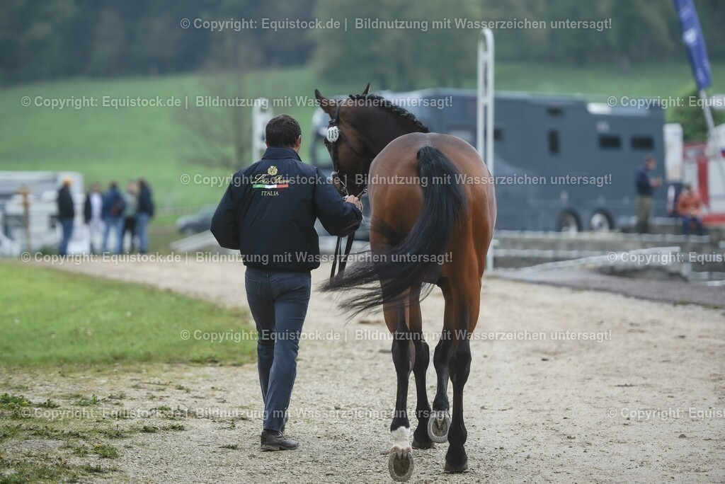 20230514_Impressionen_0189 | equistock