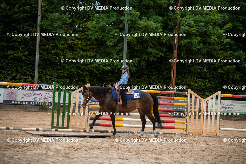 ZS2_8052 | dv-media-shop - Realisiert mit Pictrs.com