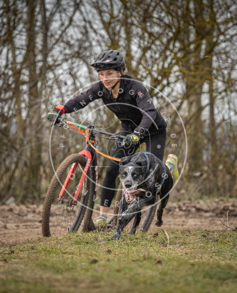 Pfotenfotografie_DV3A9187 | Hundefotografie, Tierfotograf, Pfotenfotografie, Fotoshooting Hund, Hunde Portrait, Hundesport, Hundeportraits, Heideshooting, Hunde, Sportfotograf, Hundefotograf, Turnierhundsport, THS,  - Realisiert mit Pictrs.com