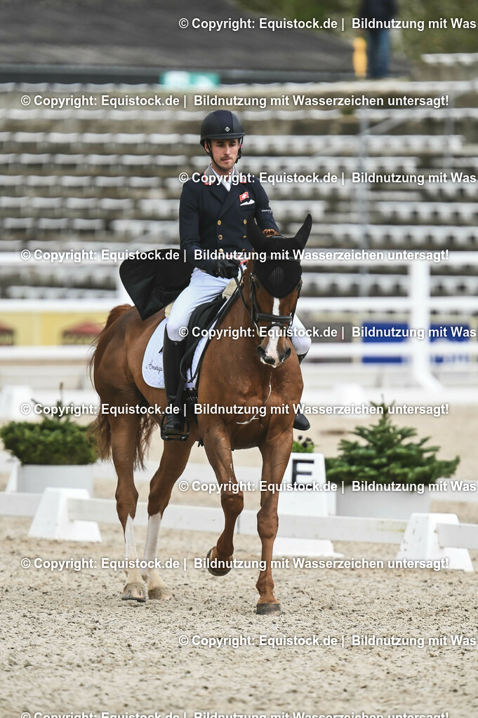 20230512_CCI4_Dressur_0442 | equistock