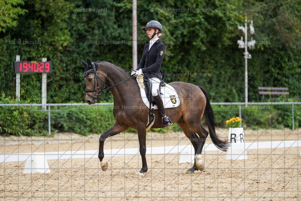 20240825-FAH00007 | Turnierbilder, Reitsportfotos, LAPO, Landesponyturnier, Turnierfotografen Bayern