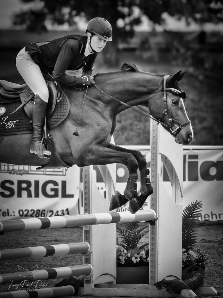 2025-05-29_09_24_57__5291516-Bearbeitet-2 | Franz Podek