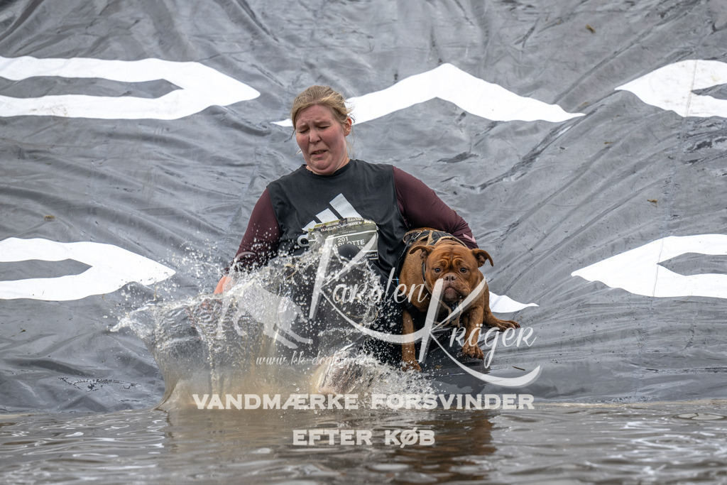 1334_ZZ92318 | kk-dogfotos