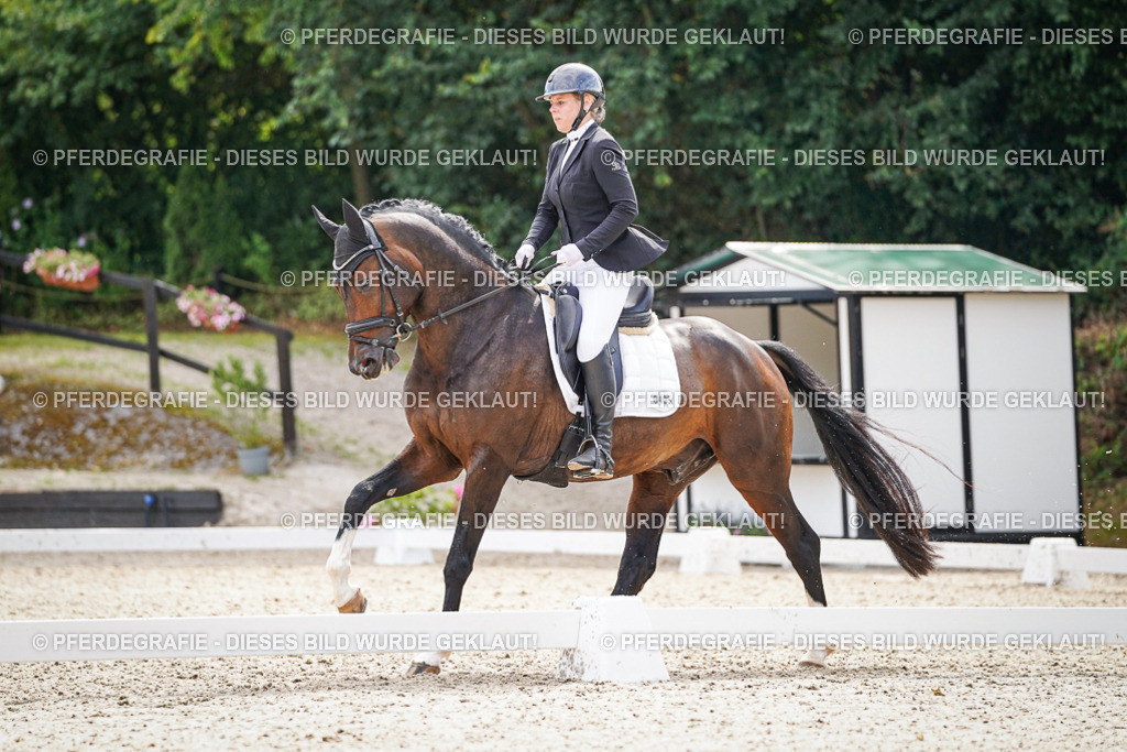 DSC08196 | Pferdegrafie