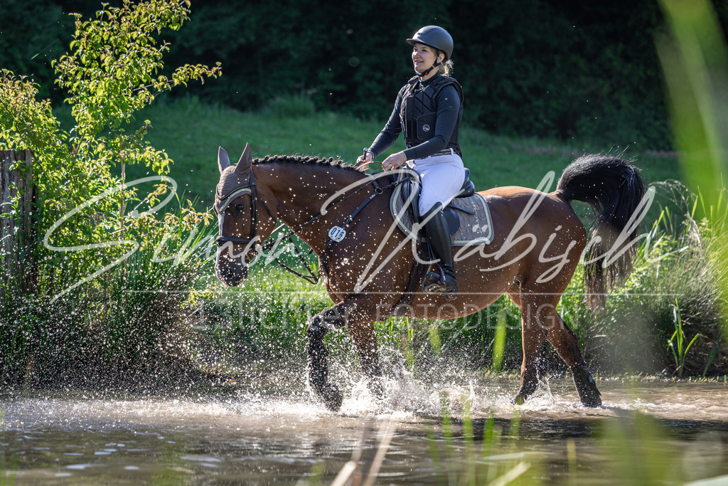 20260523-_3LI6263 | Tierfotografie Pferde, Hunde, Katzen, Haustiere.
Turnierfotografie Reitturniere, Reiten, Springreiten, Dressur in Hanau, dem Main-Kinzig-Kreis und dem Rhein-Main- Gebiet um Frankfurt