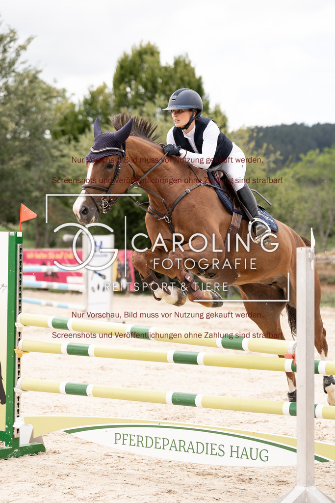 DSC06474 | Springturnier_Teamchallege_Talheim_2026, Leonie_Krieg, Cassandra_430