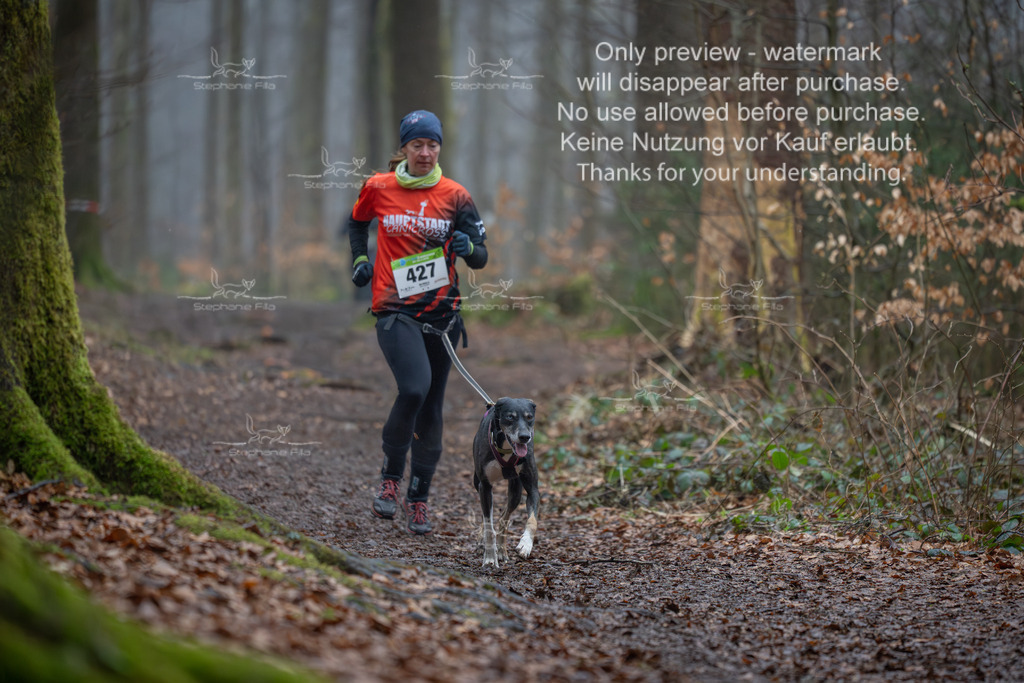 Canix_So-112 | stephaniefillaphotographie - Realisiert mit Pictrs.com