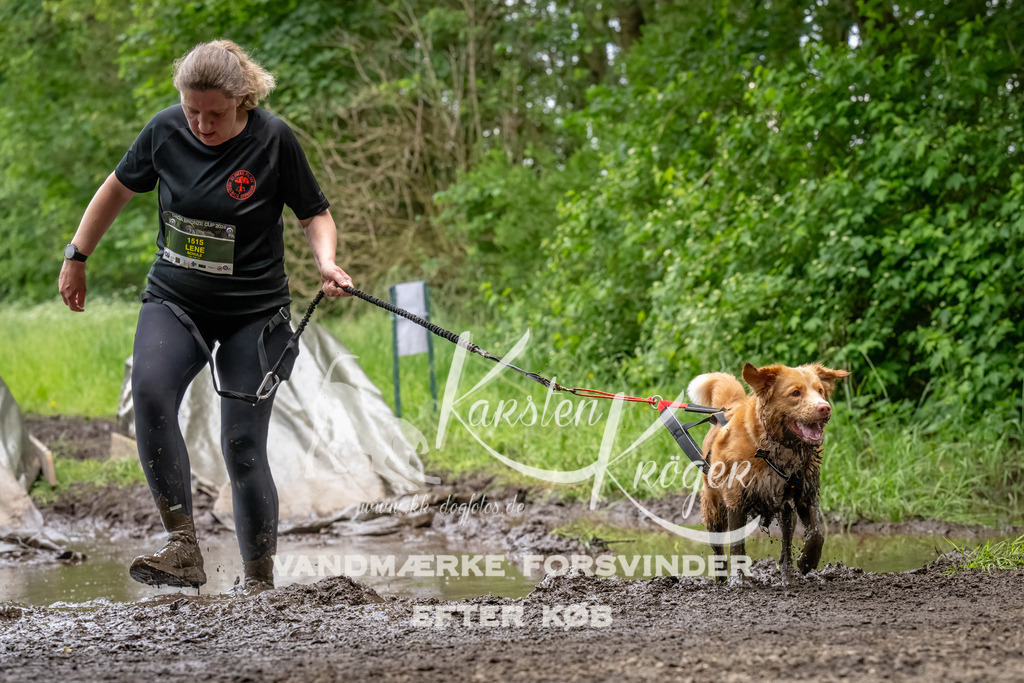 1537_ZZ94510-Bearbeitet | kk-dogfotos