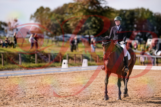 2026_10_03_Siefer-Hof_130121_Z81_53267467 | Professionelle Reitsport-, Turnier- und Eventfotografie von Robert Broda. Galerien mit ausgewählten und bearbeiteten Bildern direkt online ansehen und bestellen.